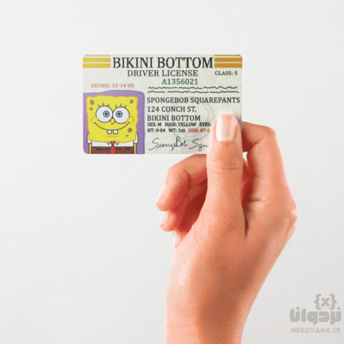 Spongebobcard nerdvana